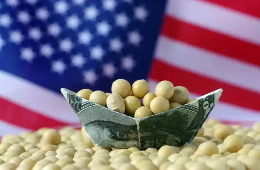 太搞笑了！美国大豆终于找到了盼望已久的买家，中国通过加征关税大幅减少美国大豆进口