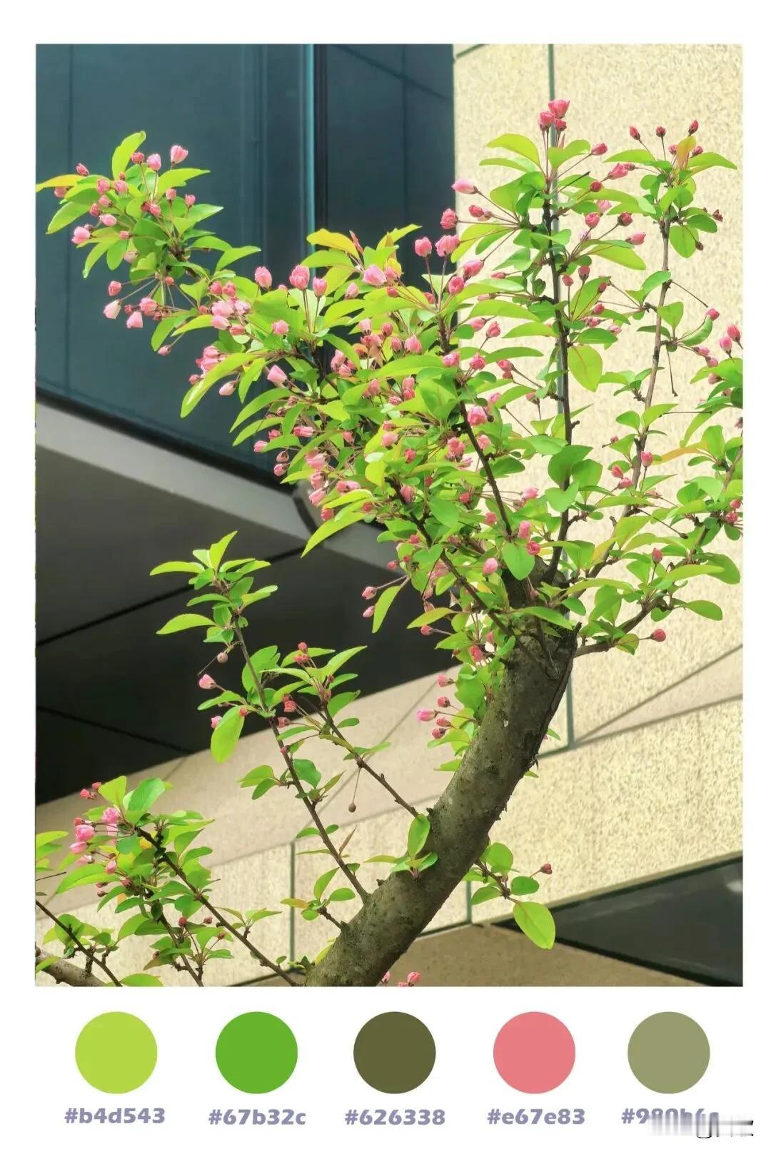 上联:若是桃花长伴院下联:何须燕子再寻家横批:世外桃源
