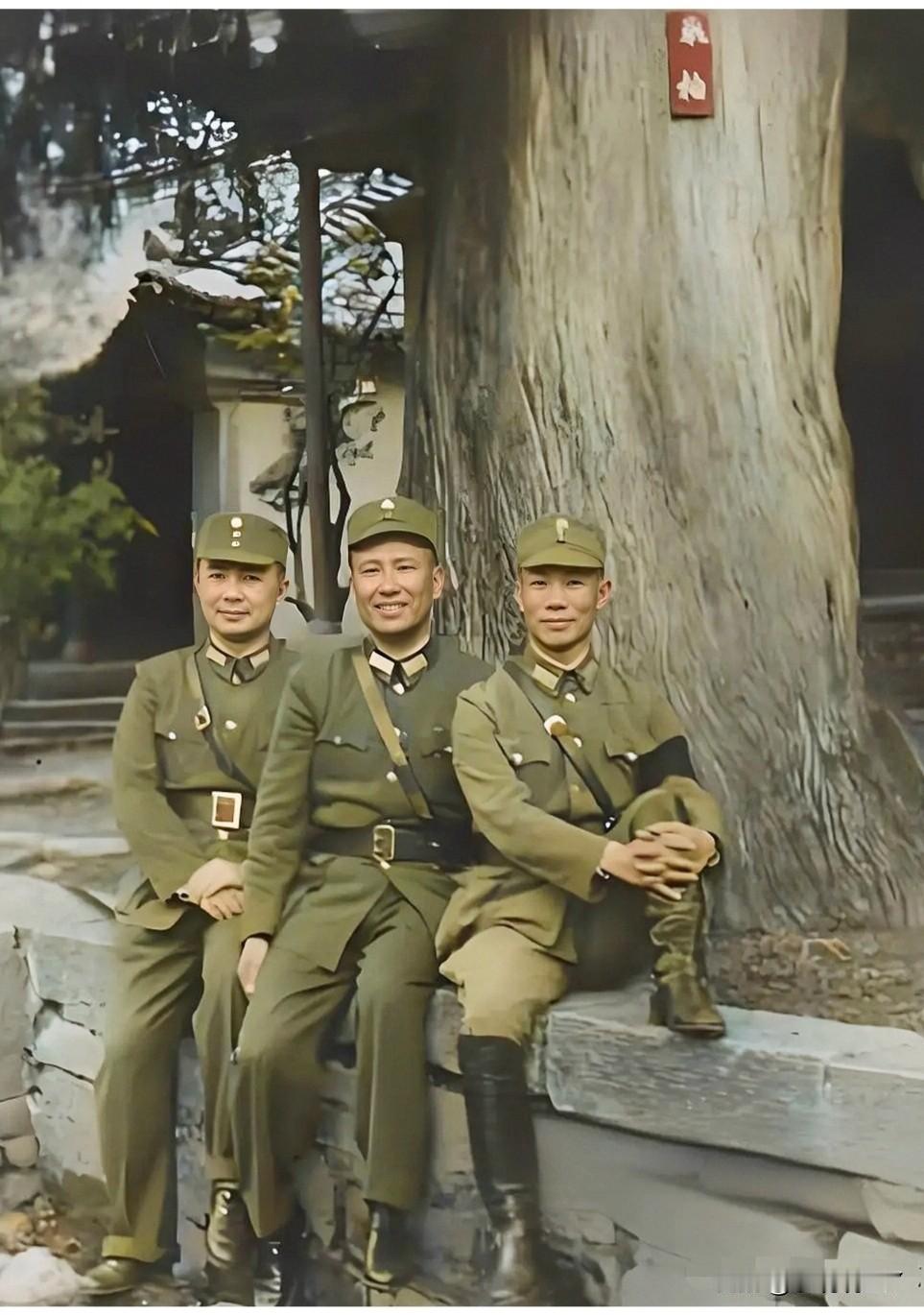 一张老照片，拍摄于1943年的昆明黑龙潭，右边是老蒋身边的红人陈诚，中间是广西白