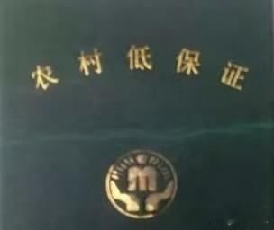 低保是动态调整的。每隔一段时间，民政部门都要核查低保户的收入，如果达到了收入标准