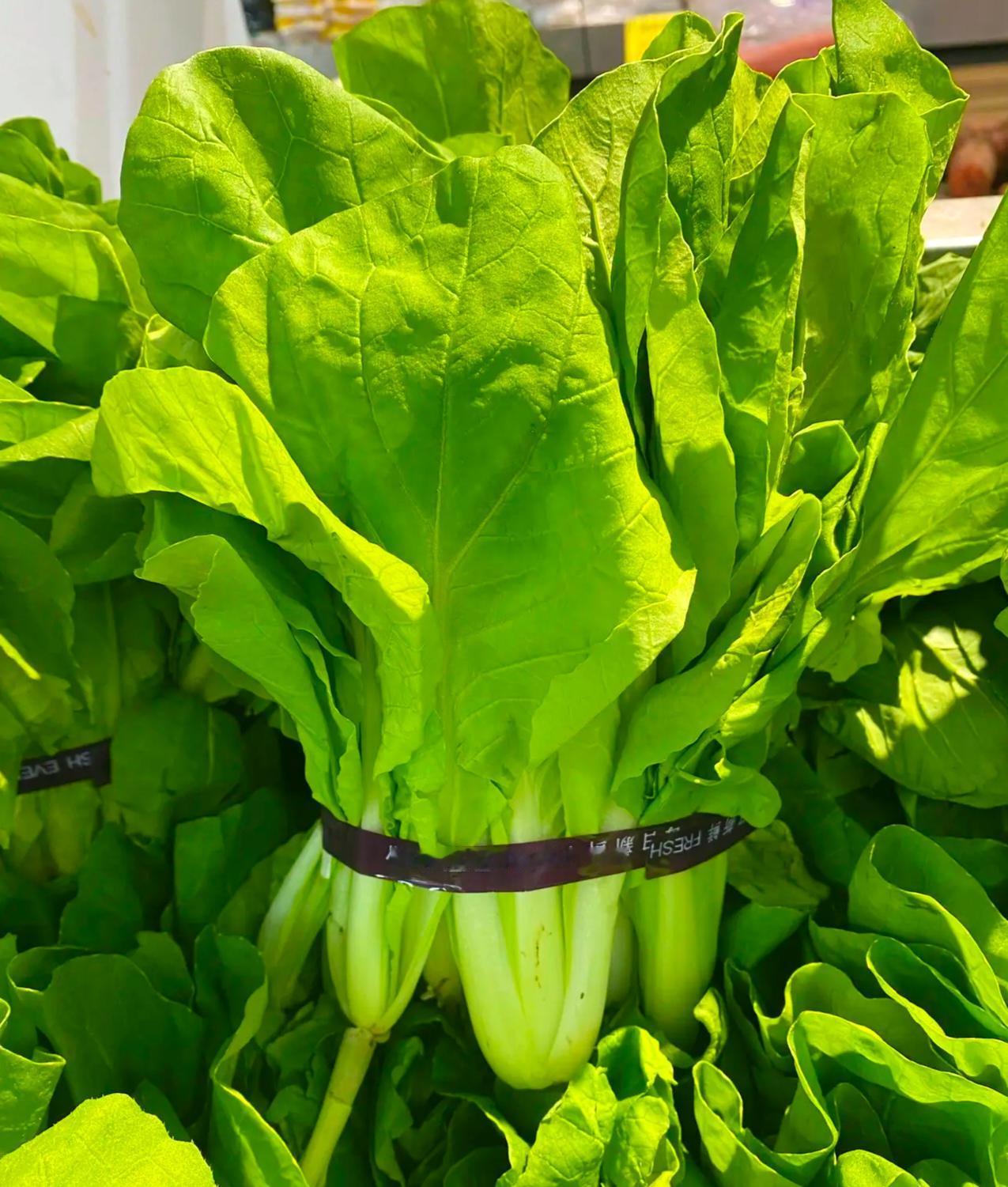 现在市场的小白菜都是农药喂出来的!昨晚和食堂老板聚餐才惊掉下巴——这菜从发芽