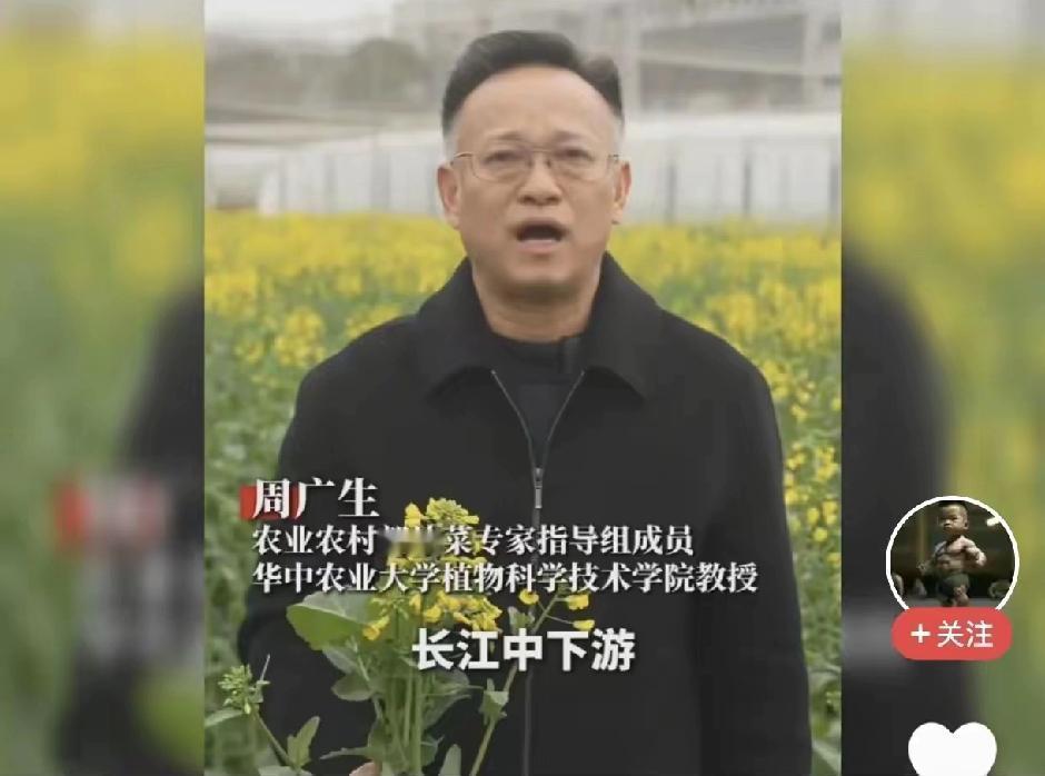 一句春雨阴天多就要打药，试问哪年春天不下雨、没阴天？老辈人种了一辈子油菜，谁都知