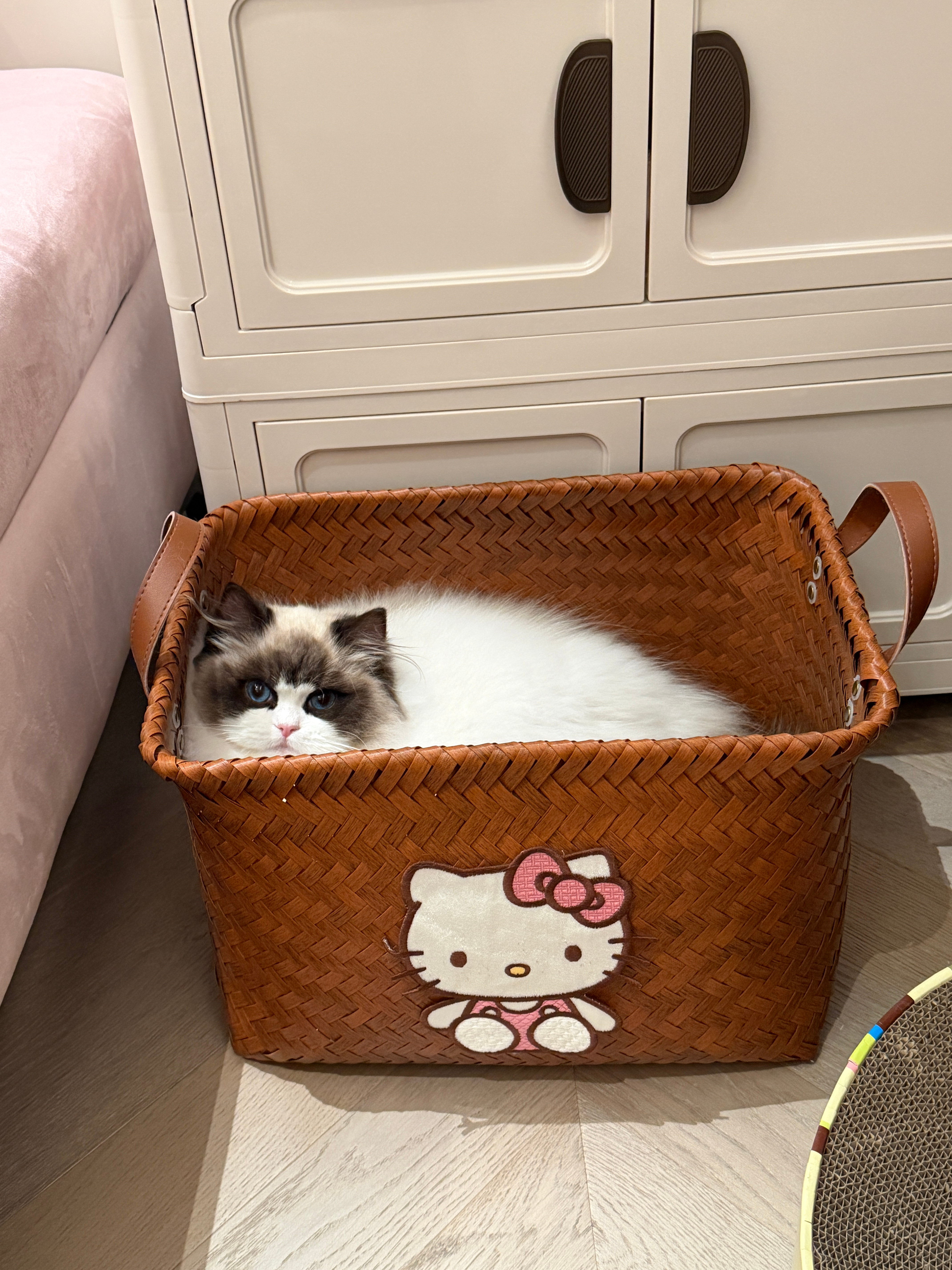 小噜噜可爱晕了