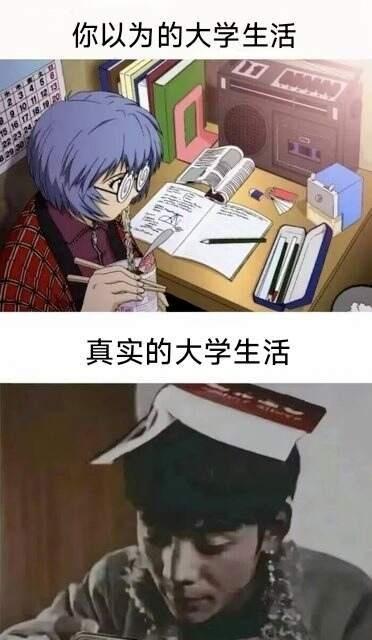 每日梗图！来笑