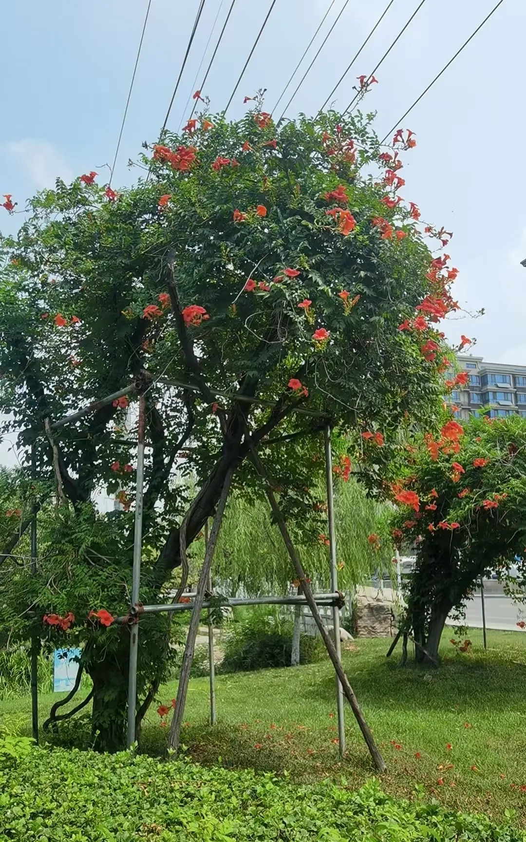 俄乌战争的性质是什么？开始是为了给普京的王座增加一颗宝石，三年过去了，逐