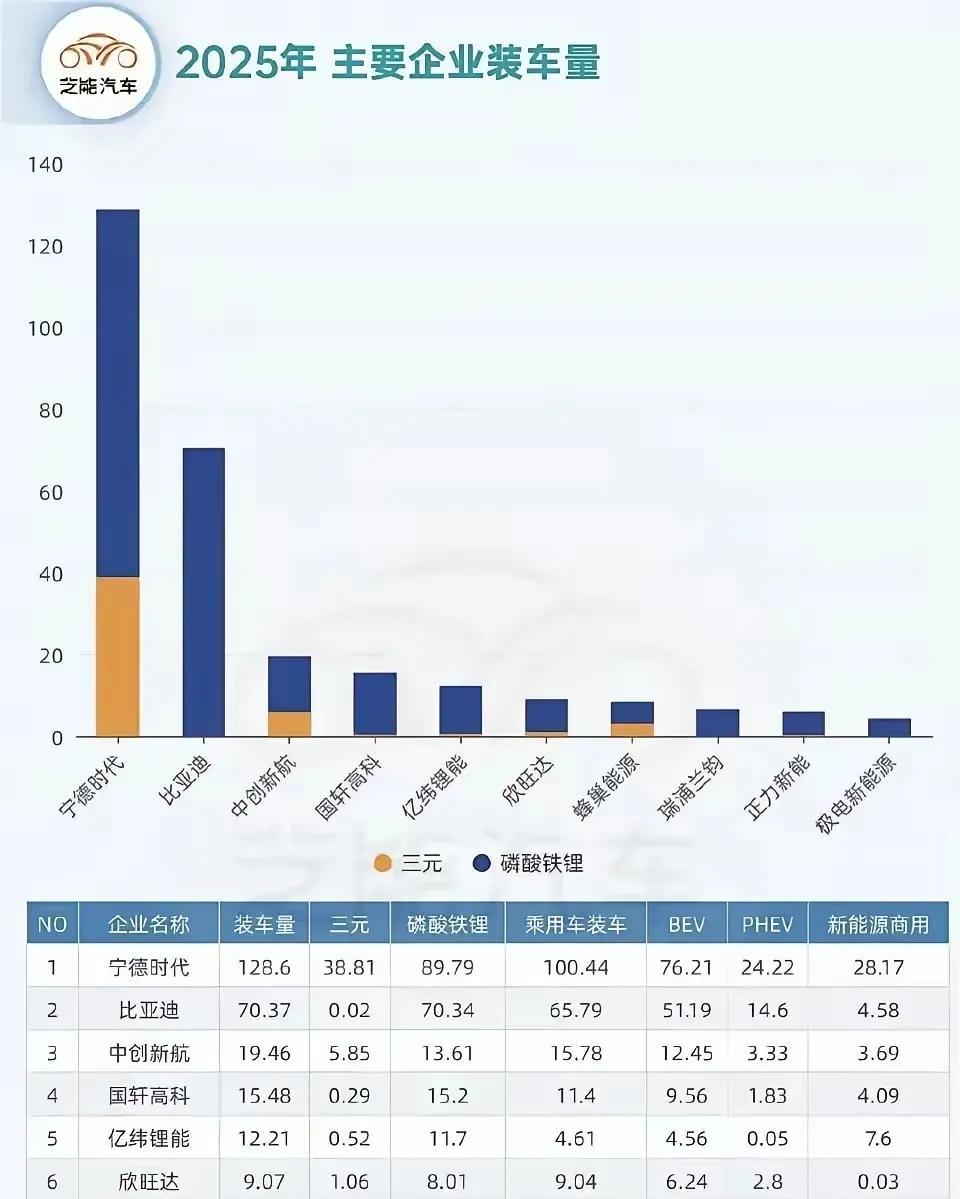 王传福的战略眼光太独到了，当初押宝磷酸铁锂电池，如今看来，完全是押对了。磷酸铁