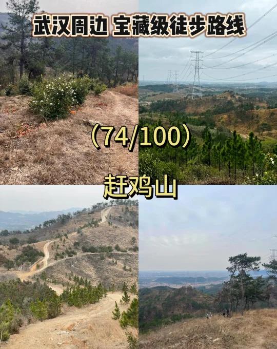 武汉周边100条免费徒步路线（74/100）赶鸡山｜黄陂小众轻徒步秘境🌿1