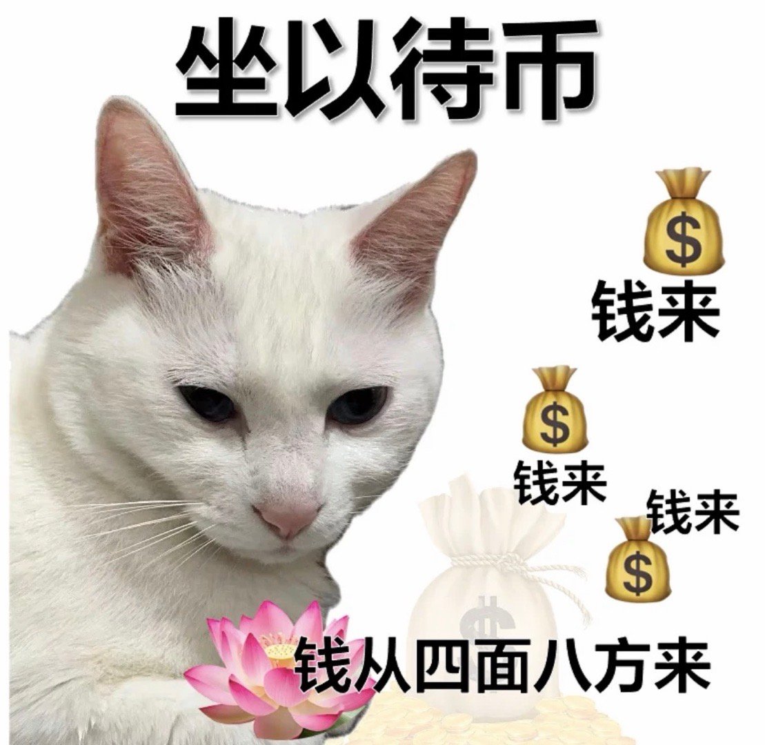 上海安福路惊现金币骑手上海安福路财神骑手上线！金币满车送福，马年暴富彩头拉满✨接