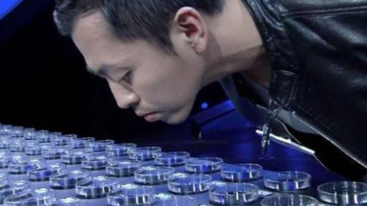 《最强大脑》微观辨水实力征服所有观众,水哥