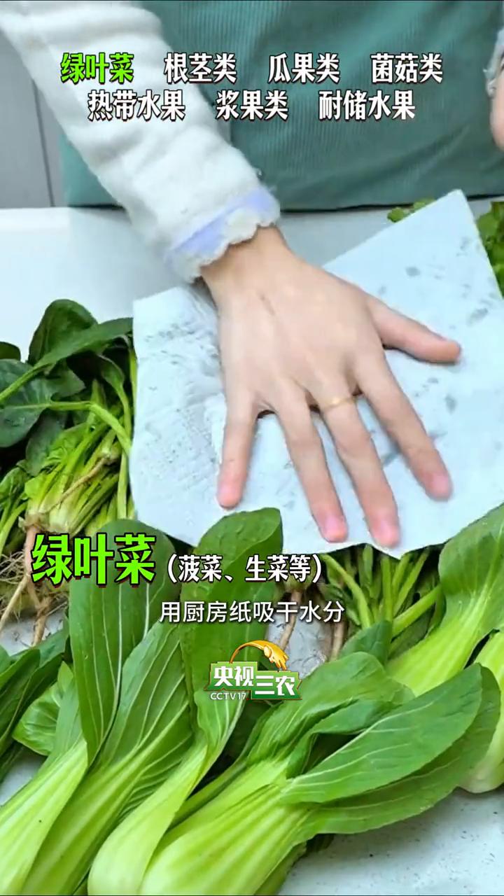 塑料袋怎么放？买完菜连塑料袋直接塞冰箱，3天就烂，营养还跑光。正确保存方法是什