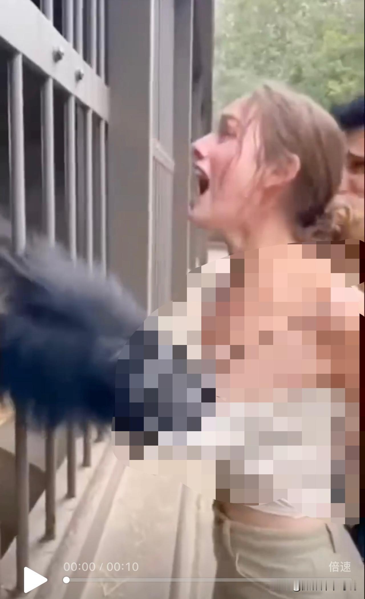 以后女孩子去动物园真的要离大猩猩远点了，真的看起来都能感受到痛入骨髓！今天看到一