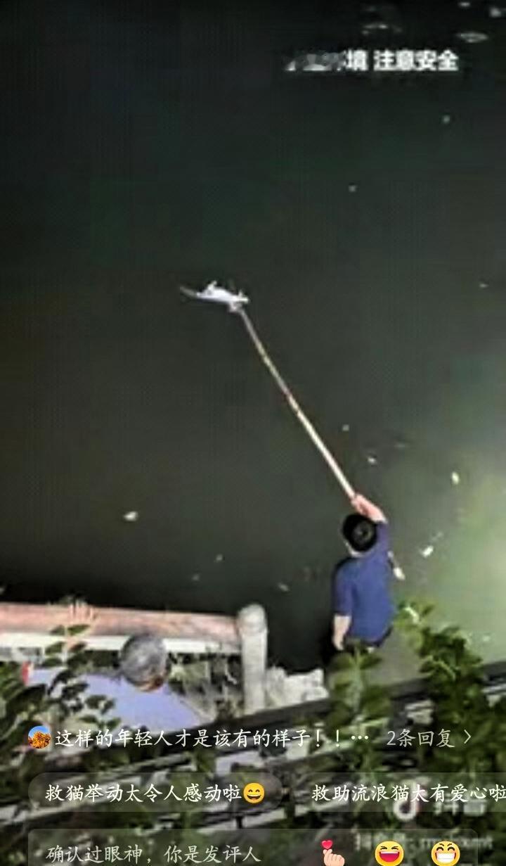 上人民日报了！成都，锦江畔上一只流浪猫落水，因为体力不支再也没有力气游向岸边