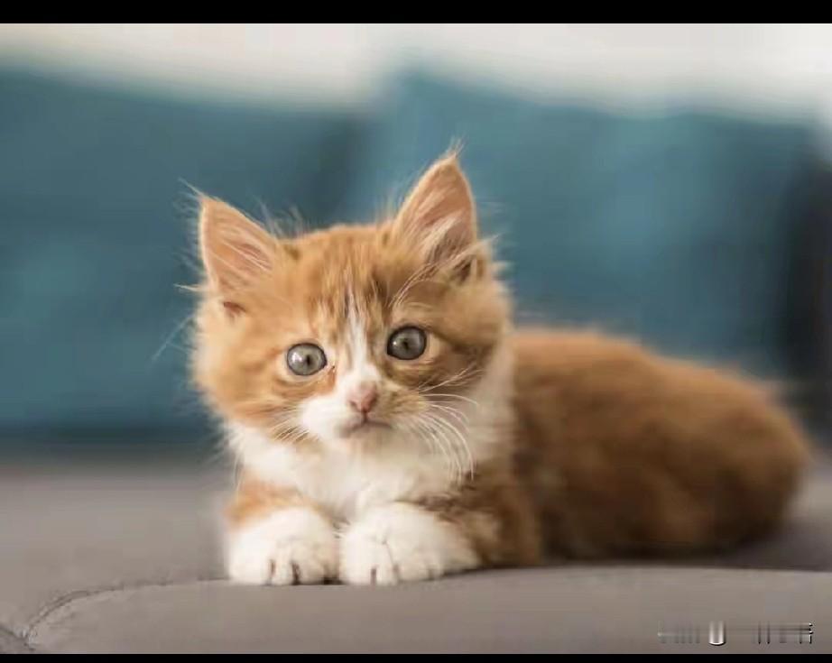 女儿在农商行上班，她说，今天，给我们当地的医院职工开工资卡，弄了一天，累坏了。