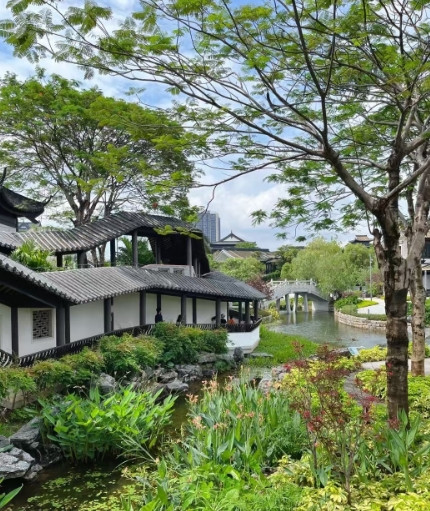 发现一个规律一个家庭娶了儿媳妇后要是2代人、3代人同住当婆婆的都会慢慢失