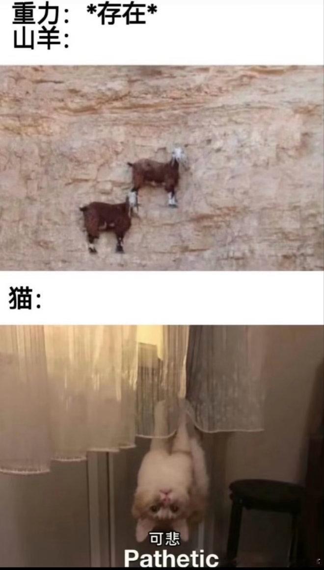 6761重力存在？​​​
