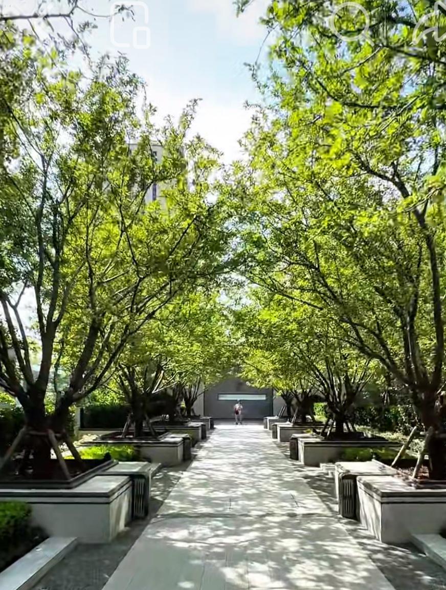 分析昨日（2月25日）北京二手楼市数据，隐藏的内容和深意！春节小长假结束，年