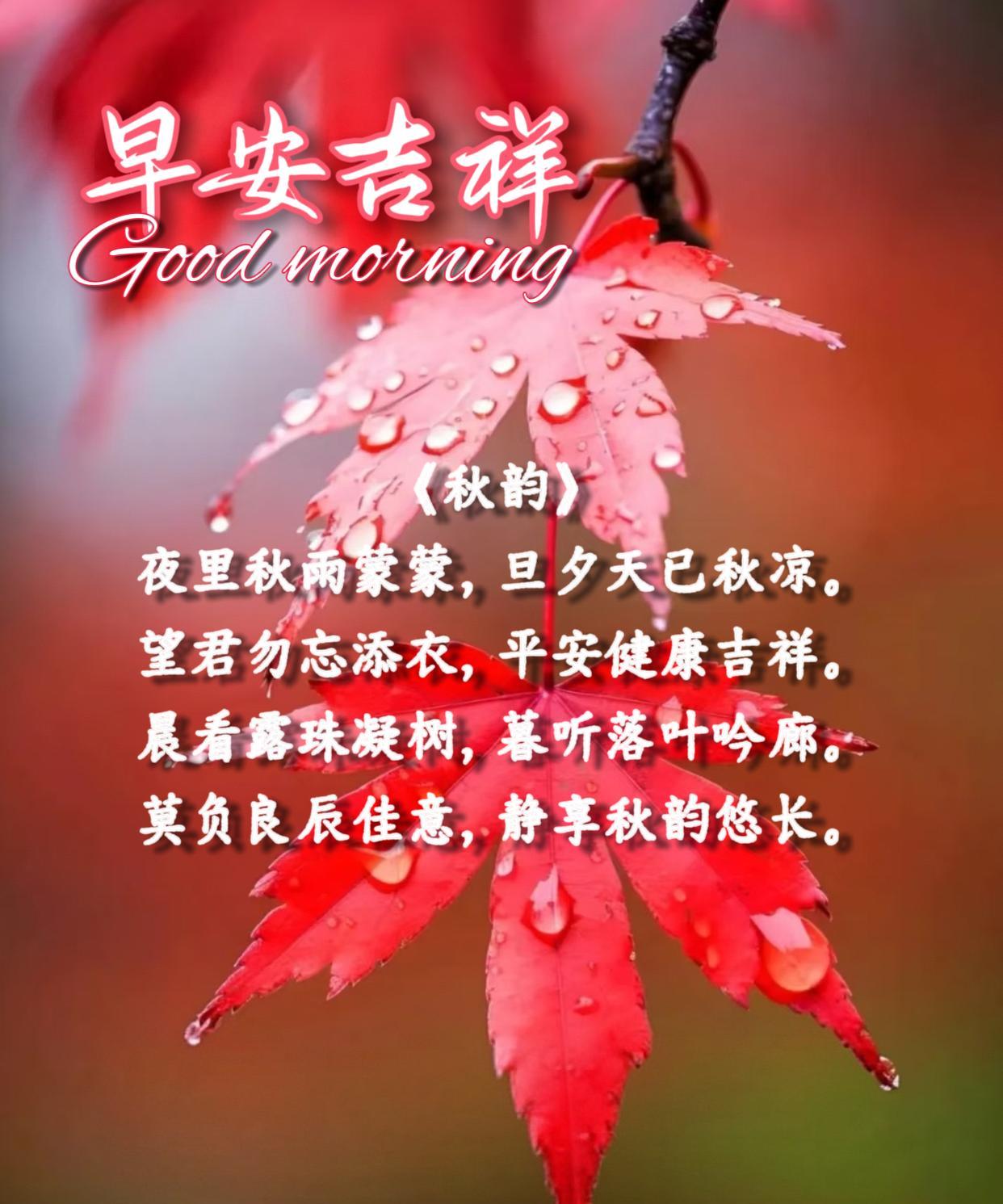 朋友：早安！《秋韵》夜里秋雨蒙蒙，旦夕天已秋凉。望君勿忘添衣，平安健康吉祥