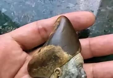 陕西西安，有一名男子跟家人到西安旅游期间，路过一家古玩店，发现古玩店货架上有一块
