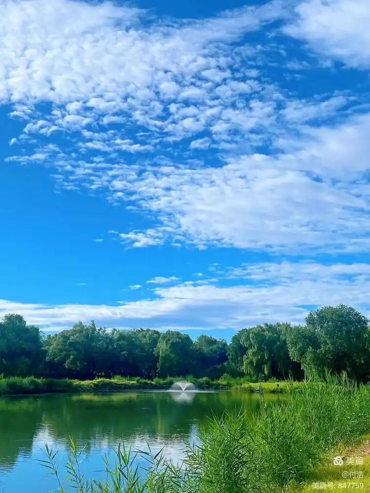 走着走着，风里就带了凉意。你总说，人生有太多“没来得及”。可不是吗？