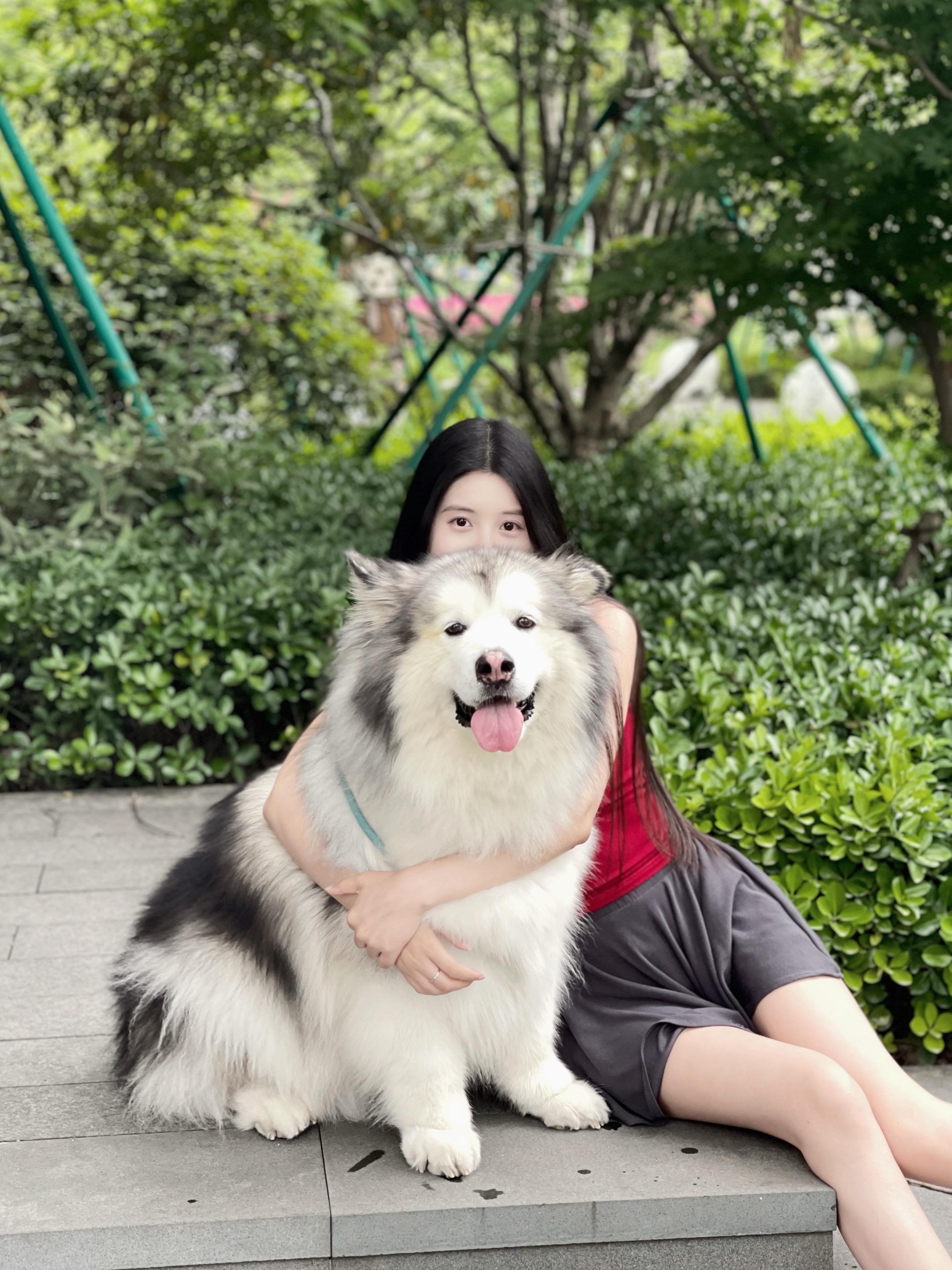 哇偶遇大狗狗啦🥰