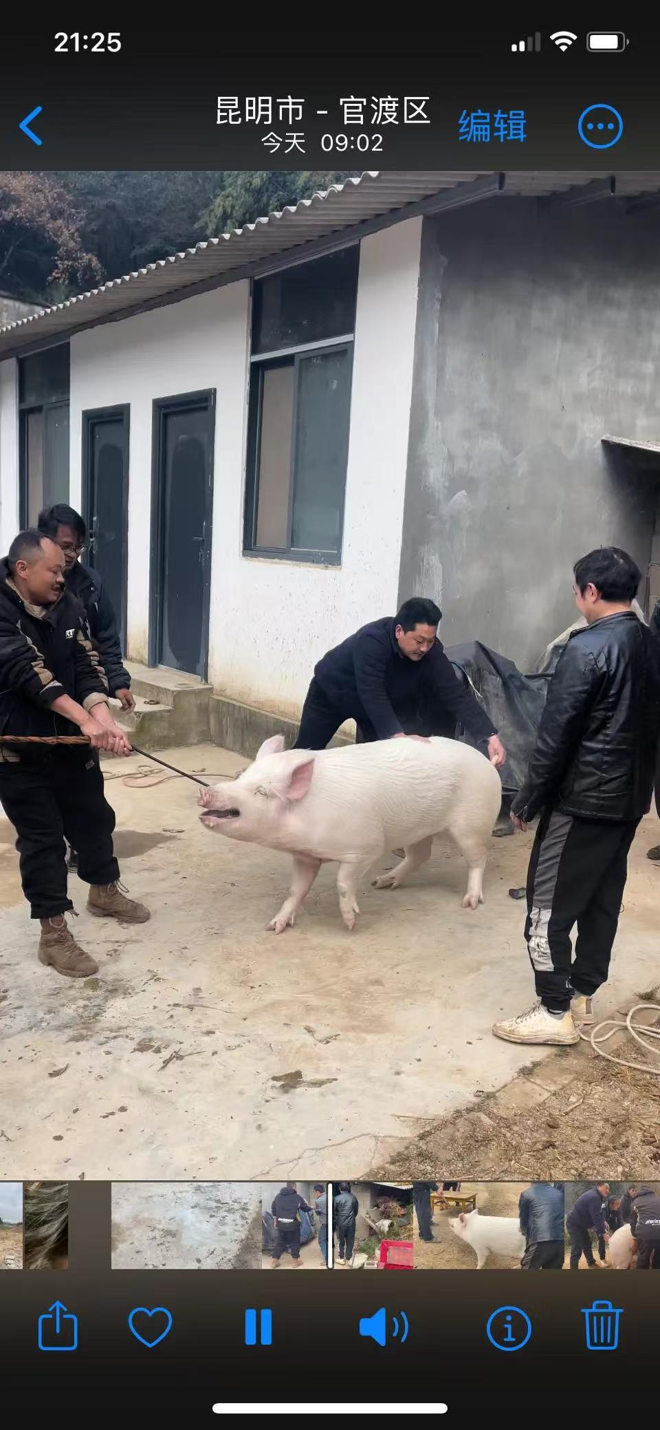 这才是讲究人，柴火能派上大用场。柴火成本不高但实用，是经济实惠的礼品选择，没有它