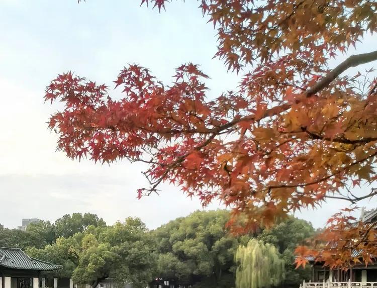 你有没有听说过“顶职”一说？大概在80年代，父亲或母亲老了，退休了，可以把自