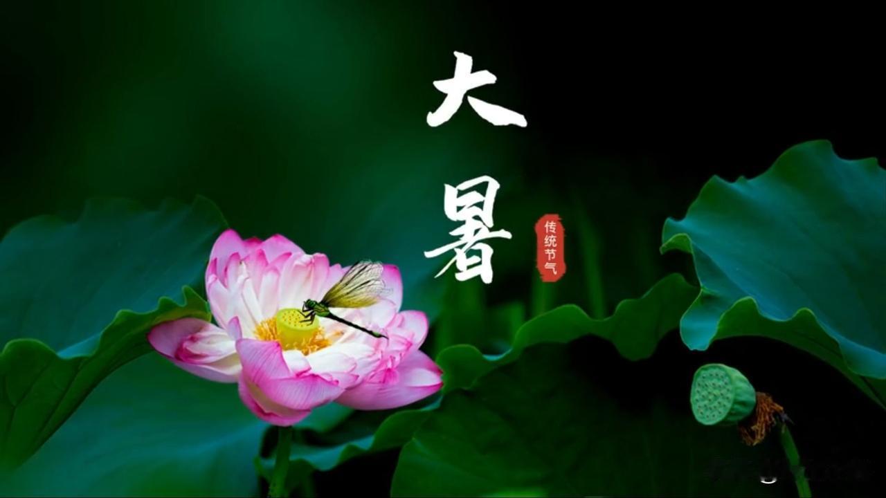 “白天大暑，雨连绵，晚上大暑，地头旱”，今年大暑在哪？早看早知道大暑是夏季