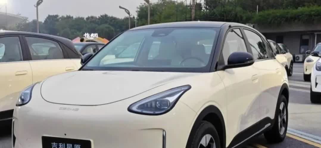 想要买一辆10万以内的电车，用来接送两个孩子上下学，大家觉得哪个更合适？（本人颜