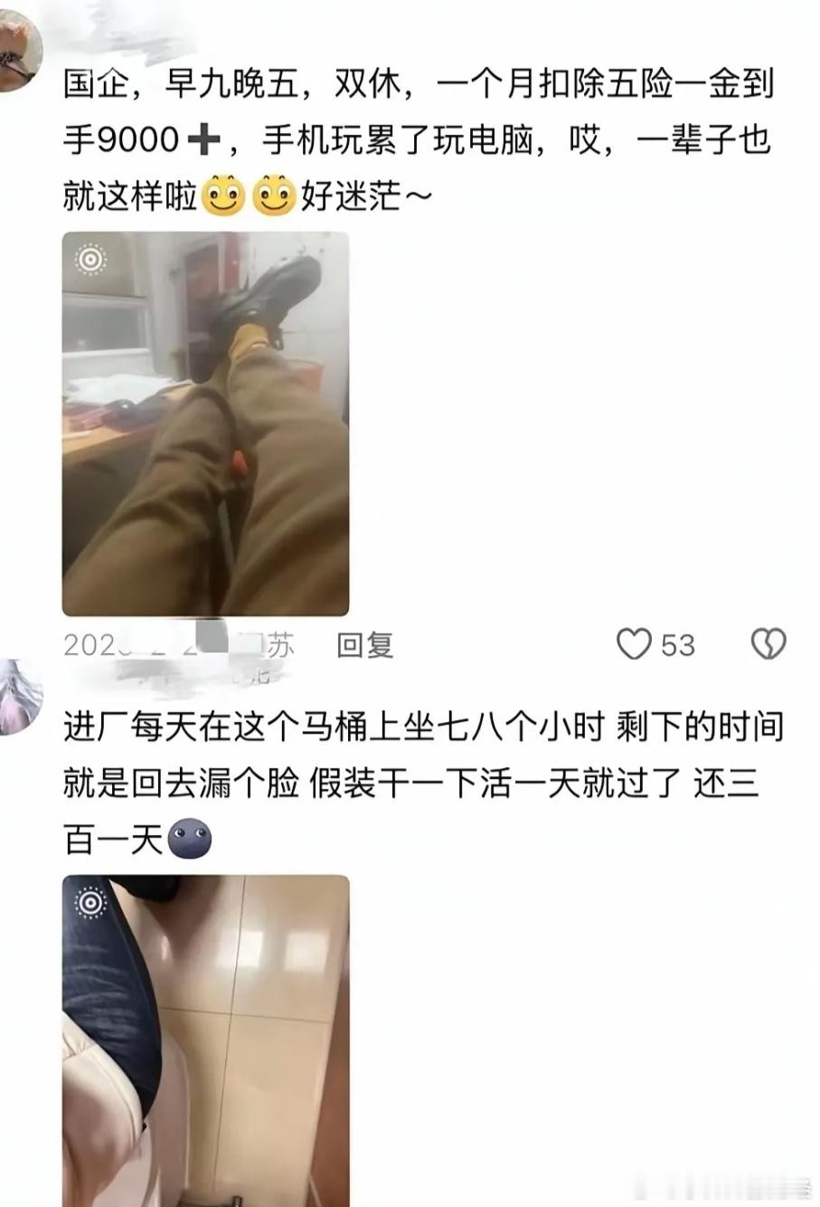 人比人真气人！我要是有这样的工作，躺着都会笑醒！