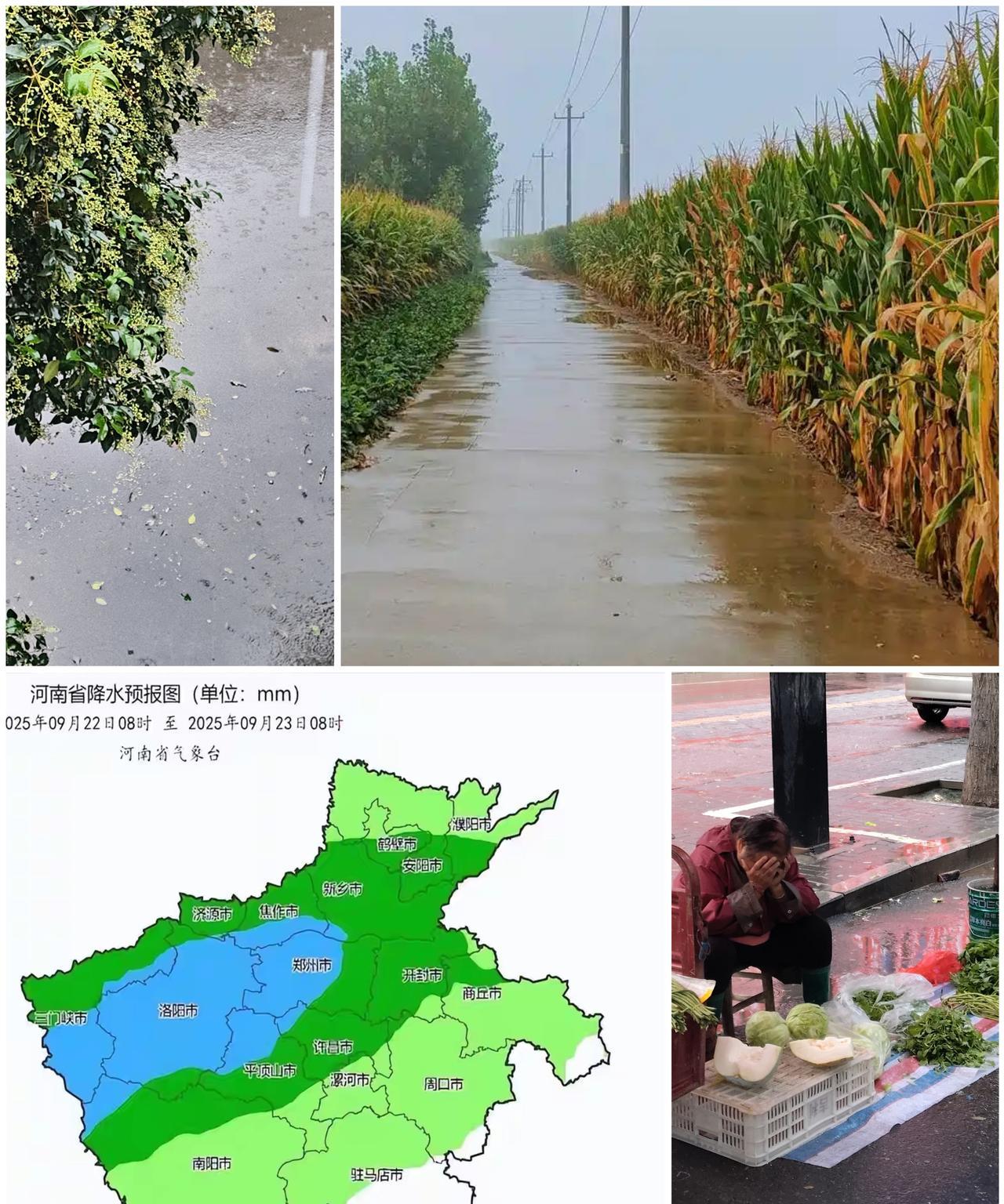 河南这场绵绵不绝的秋雨，原来竟然是64年来首例！上周下个不停，这周又从晚上下到