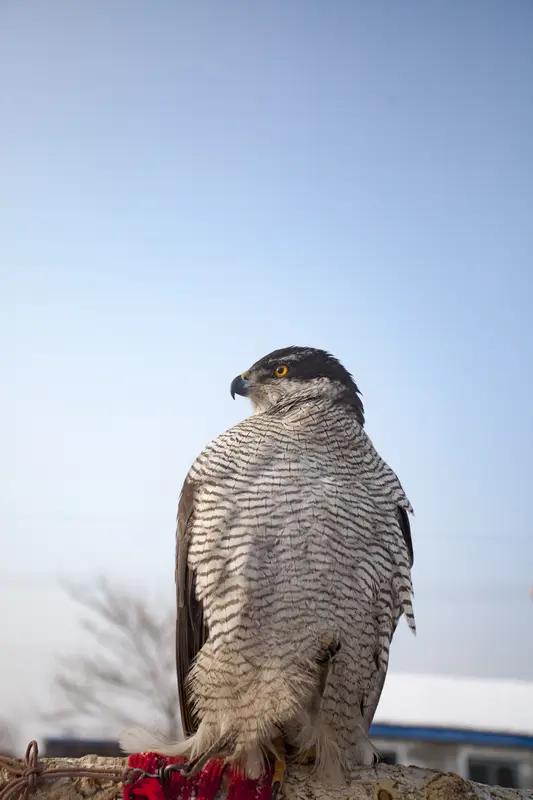 新年到啦，正是开启爱好打卡的好时候！我打算在新年里打卡摄影爱好。每天出门拍一张有