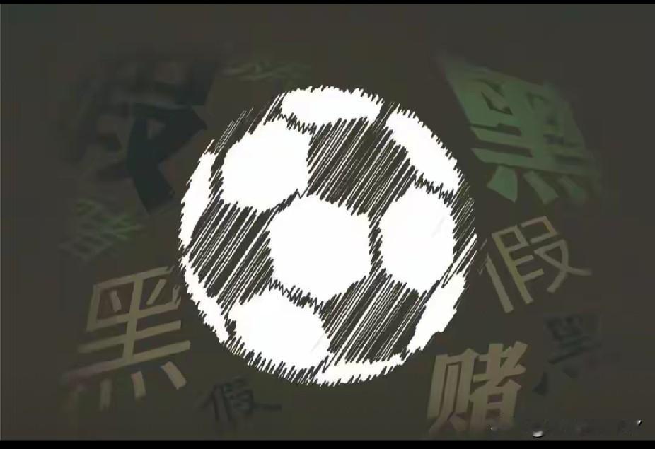 刚看到中国足协第三批处罚名单，没想到其中竟有现任陕西联合俱乐部董事长黄盛华。事