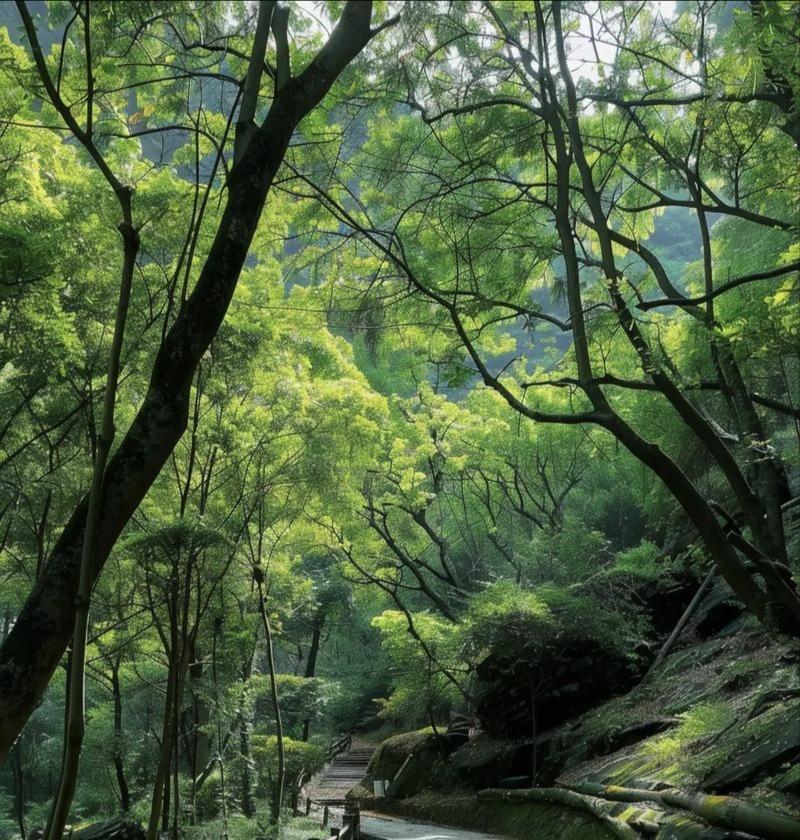 离婚见人品：堂堂正正是体面，卑劣算计是缺德婚姻走到尽头，有人把“好聚好散”