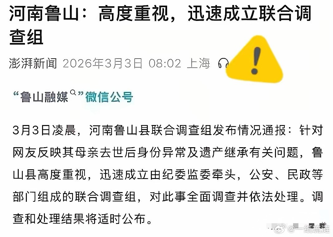 调查组一进驻鲁山，当年装死的那帮亲戚，全“活”了。轮番上阵逼着外甥女删掉曝光视频