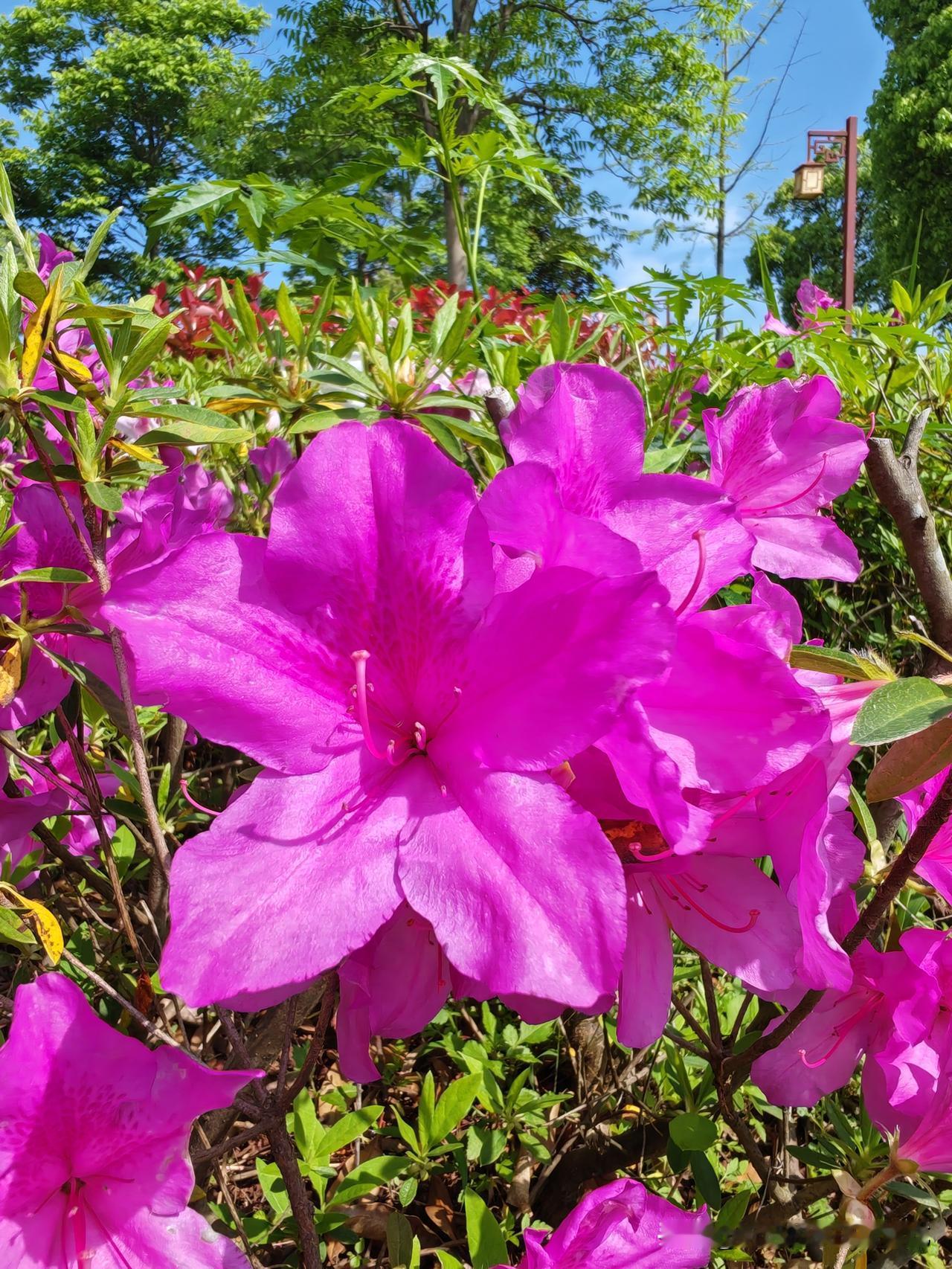 40+的年纪想裸辞都裸不起！每个月3000不到的工资，虽然看起来没有什么负担，