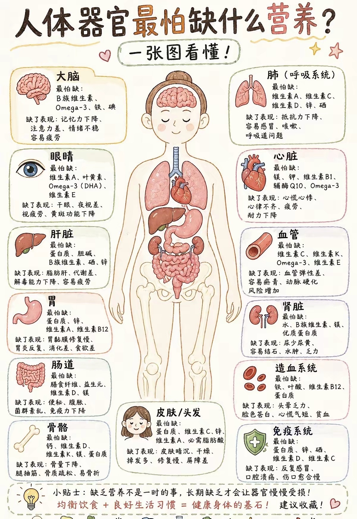 你身体缺什么其实早就显露出来了缺什么补什么​​​