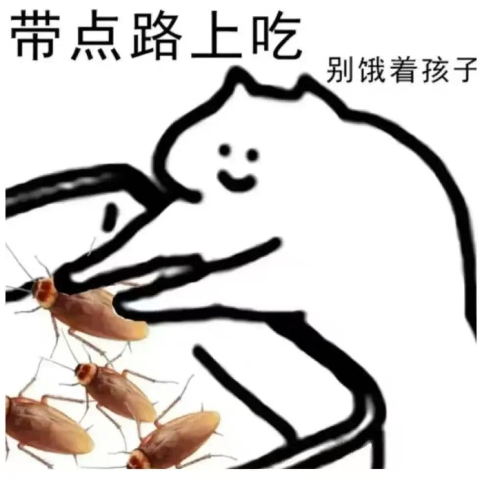 每天一条冷知识太平洋折翅蠊是蟑螂界里唯一的“胎生选手”。它们体内有个神奇器官叫