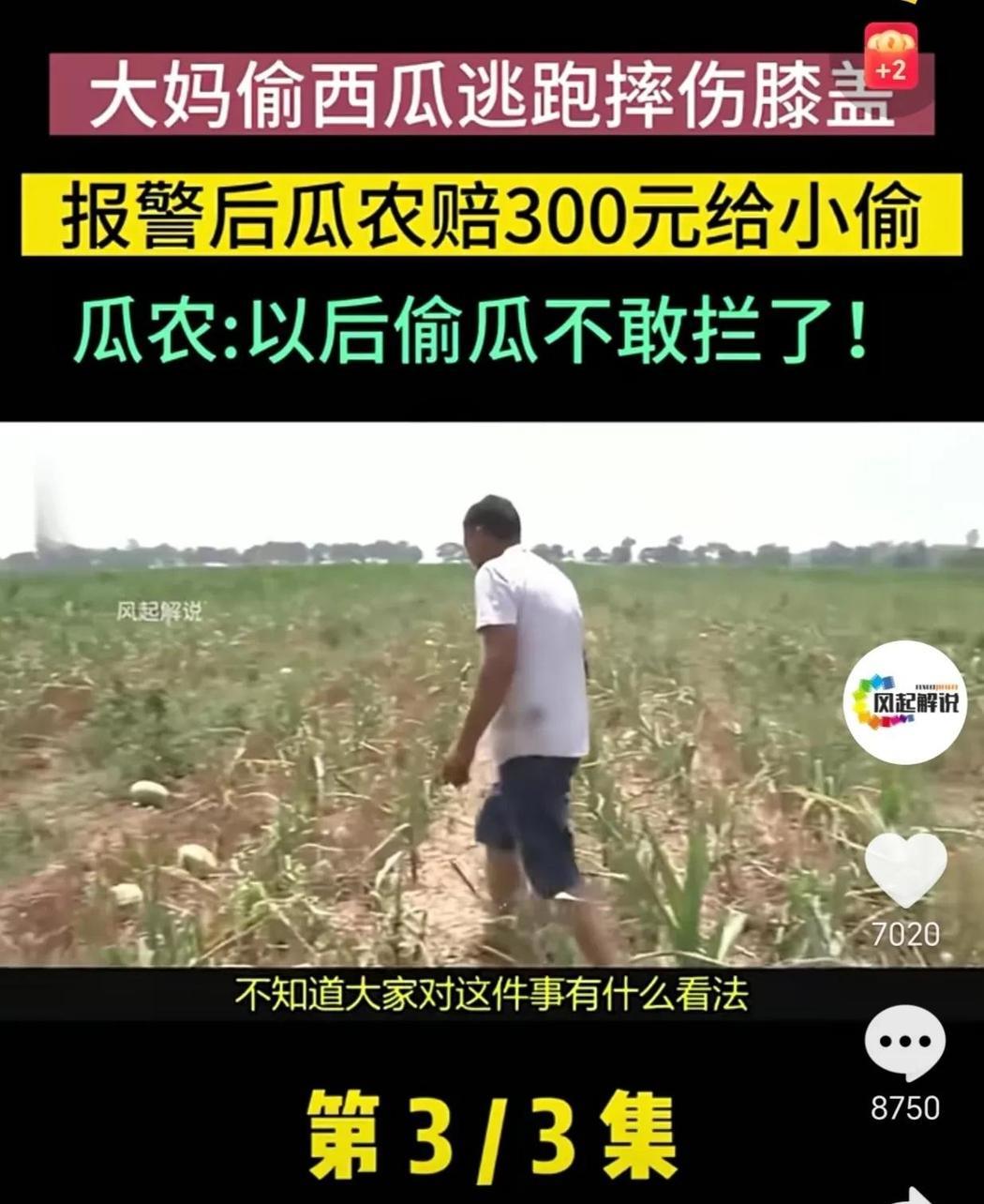 “还有没有天理”河南淇县，母女二人骑电动车到瓜田偷西瓜。被瓜农发现后骑车逃跑，瓜