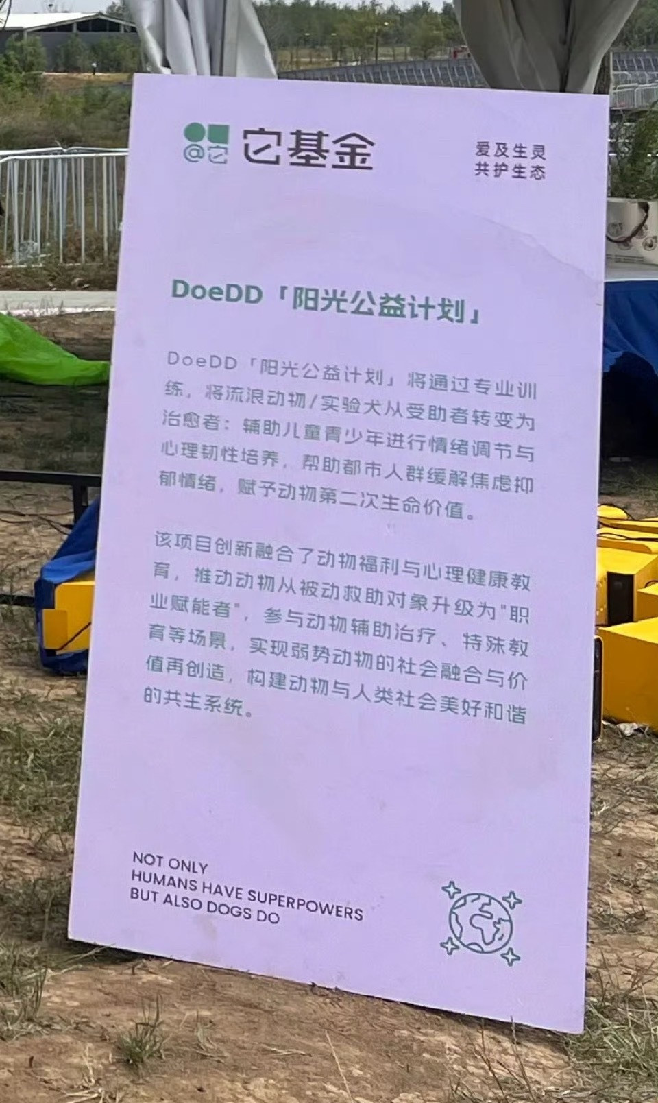 我要说赵露思这个思想超前的不是一点半点，第一次听说这个DoeDD阳光公益计划的时