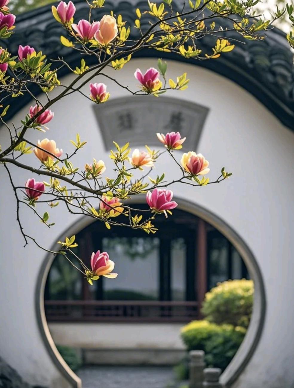 道家有个说法，叫“静水流深，不语最沉”人群中那个最温和、最不争的人——往往不