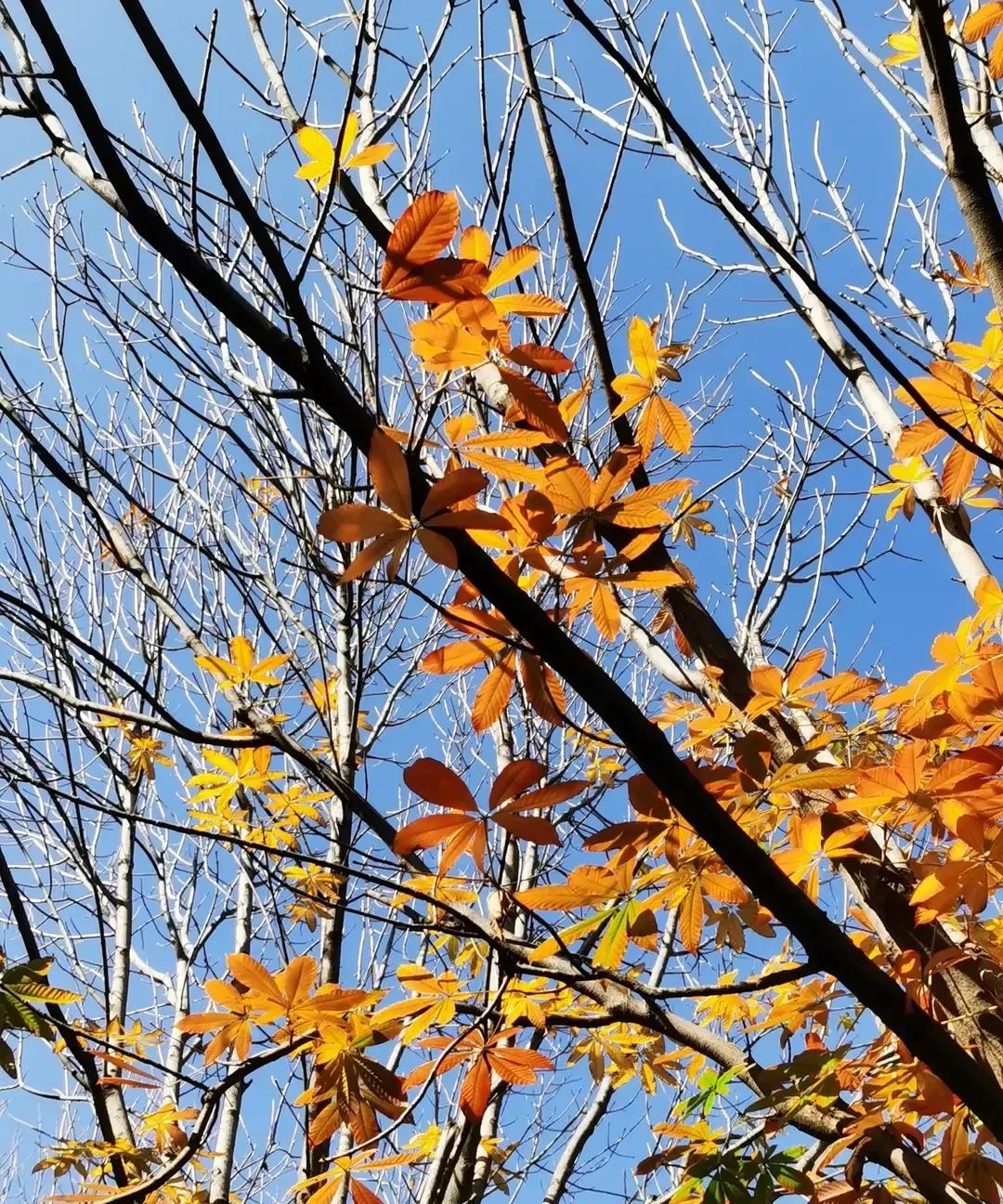 西安三月飙到二十度我直接穿短袖出门，暖气还在呼呼烧，家里热得开窗吃冰棍。气象局
