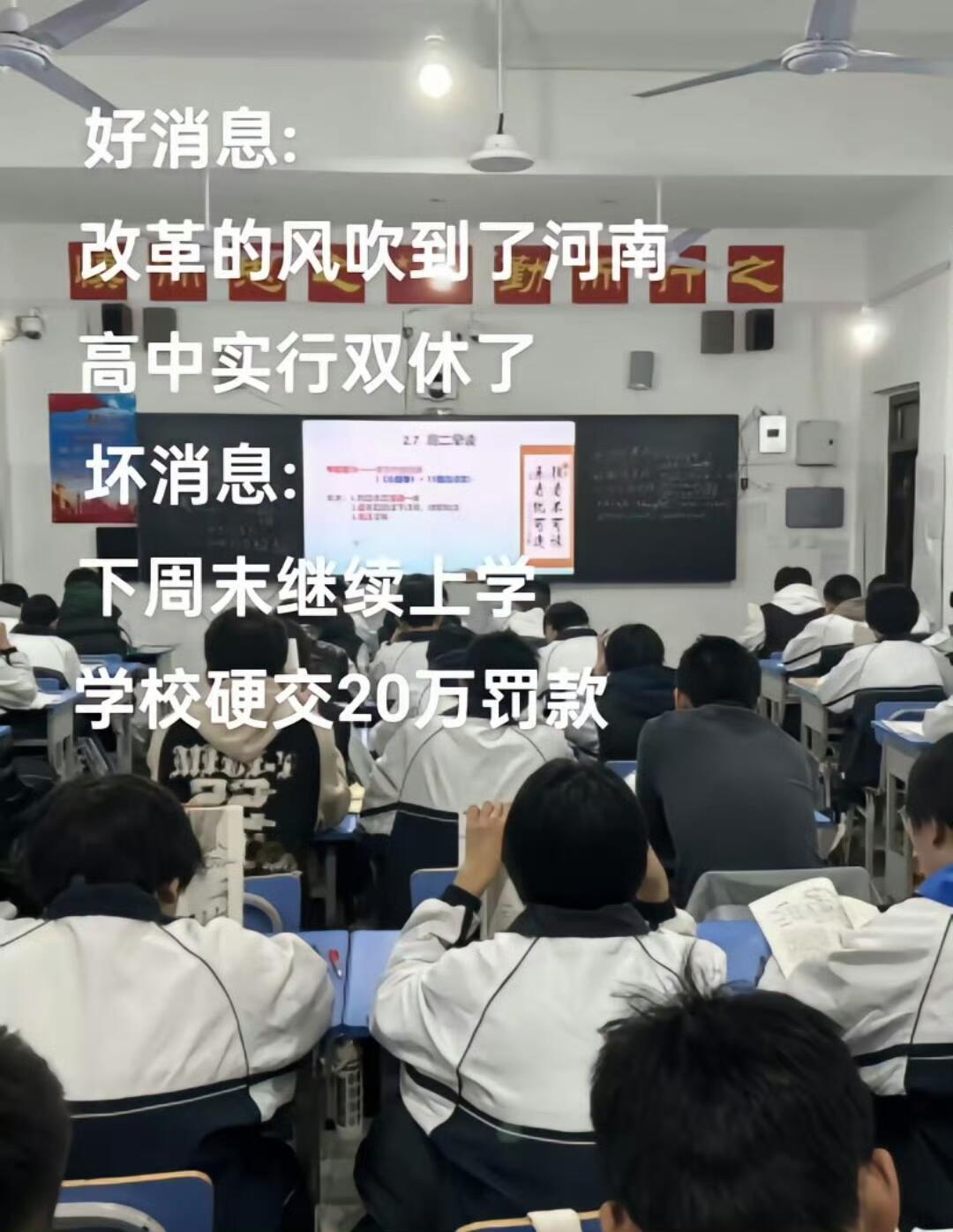 原来交了罚款就可以不管了啊😲​​​