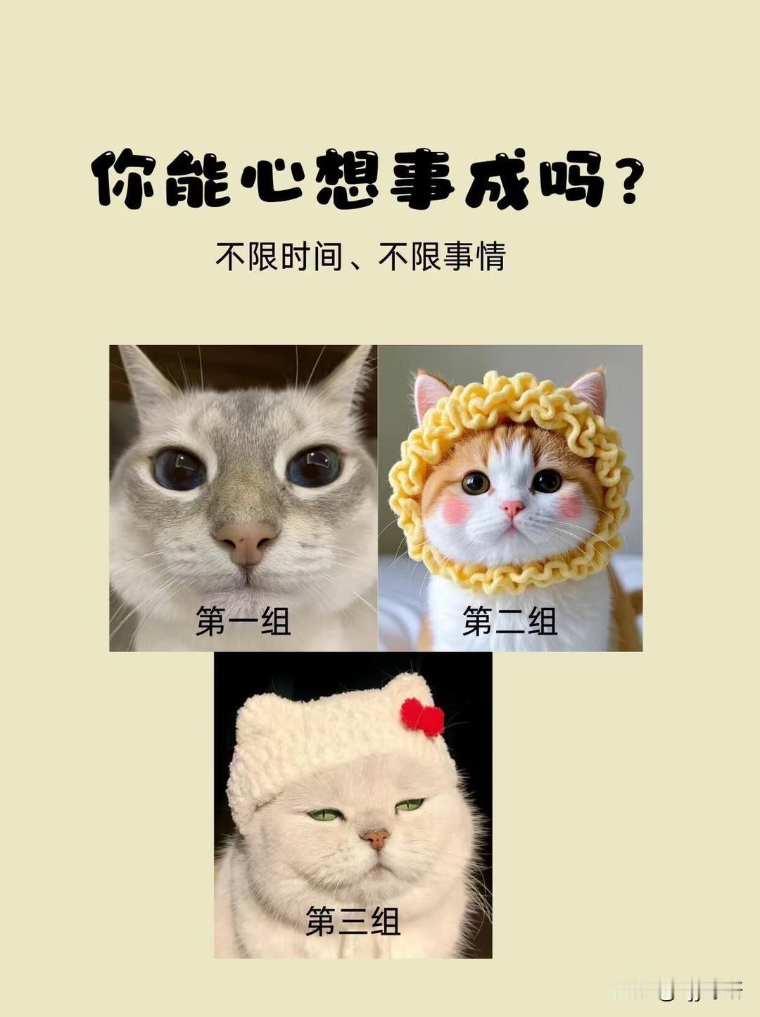 ?不限时间，不限事情