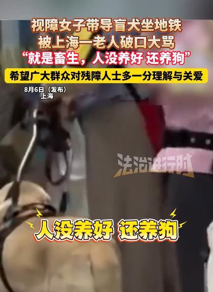 导盲犬是为视障人群服务的一种工作犬，需要进行严格的挑选和训练才有机会成为导盲犬，