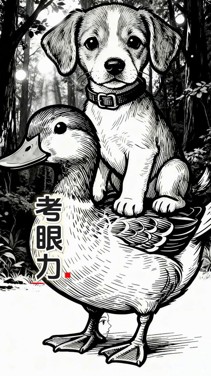 老眼力。鸭子身上骑着只狗，狗说它们身上藏着两张人脸，可我怎么找都没看见，这也太