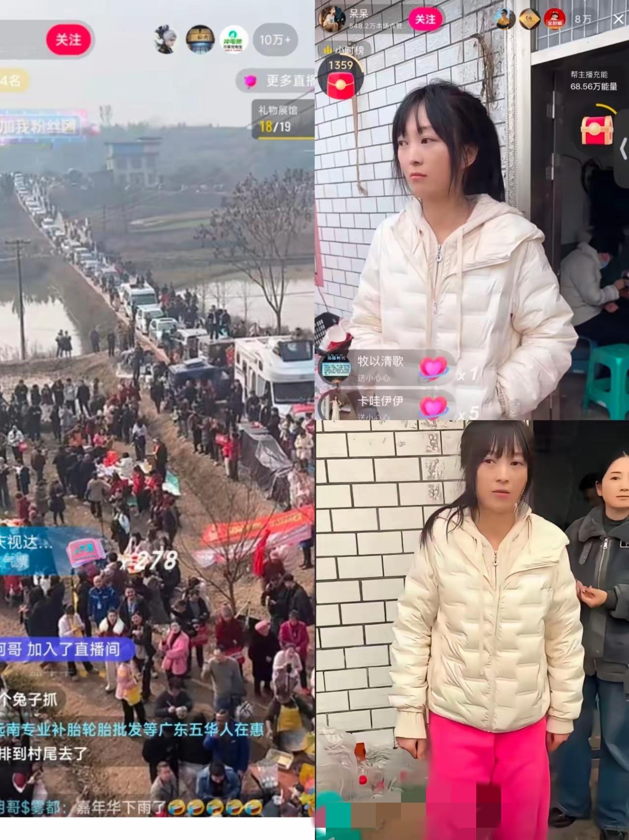 谁能说呆呆猪情商高？谁又能说她多有脑子？可偏偏就是这份不掺半点虚头巴脑的大方