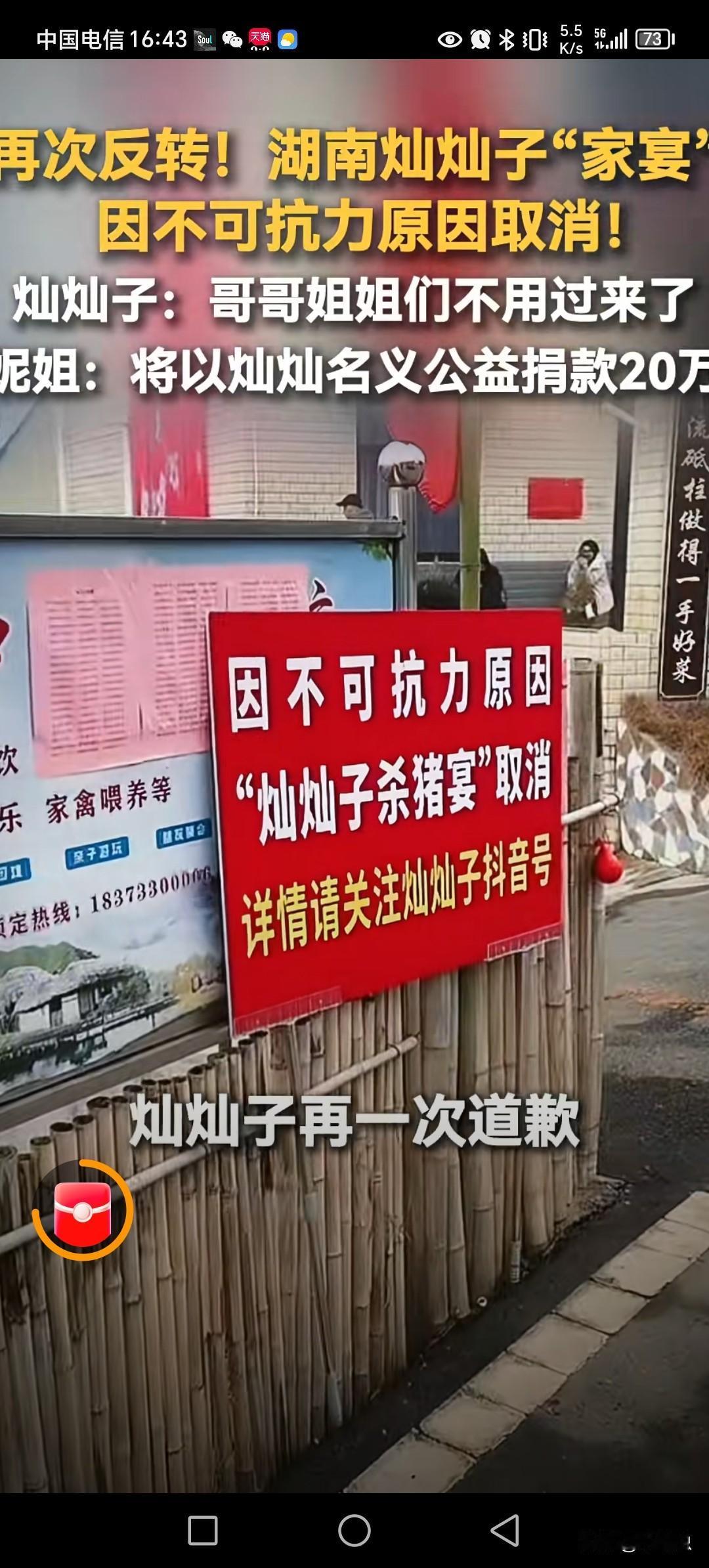 灿灿子真的不应该，上这个红牌。因不可抗力原因，灿灿子杀猪宴取消。这话中有话，