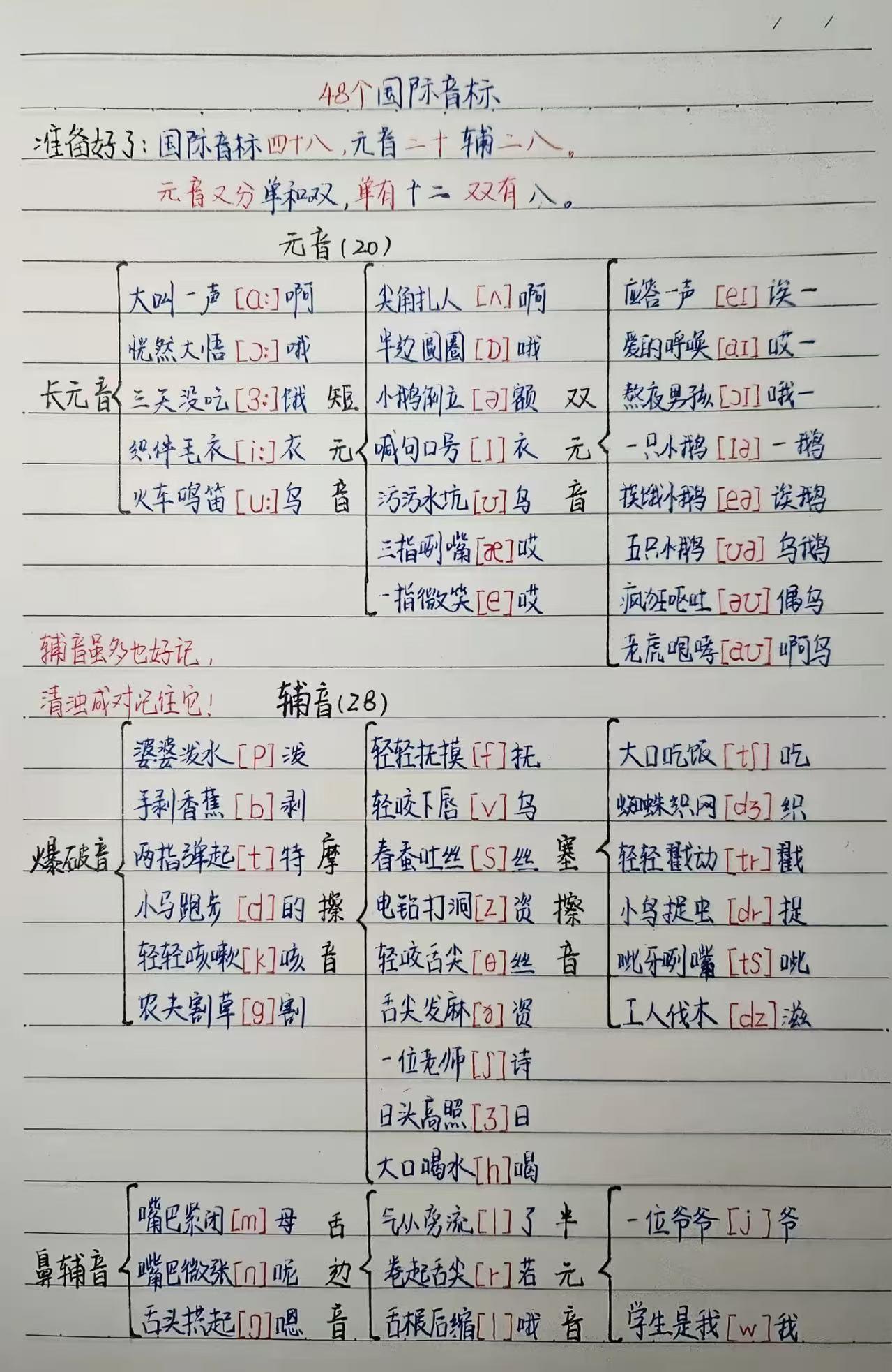 48个国际音标大全🔥建议直接收藏英语入门必学的48个国际音标整理好啦，