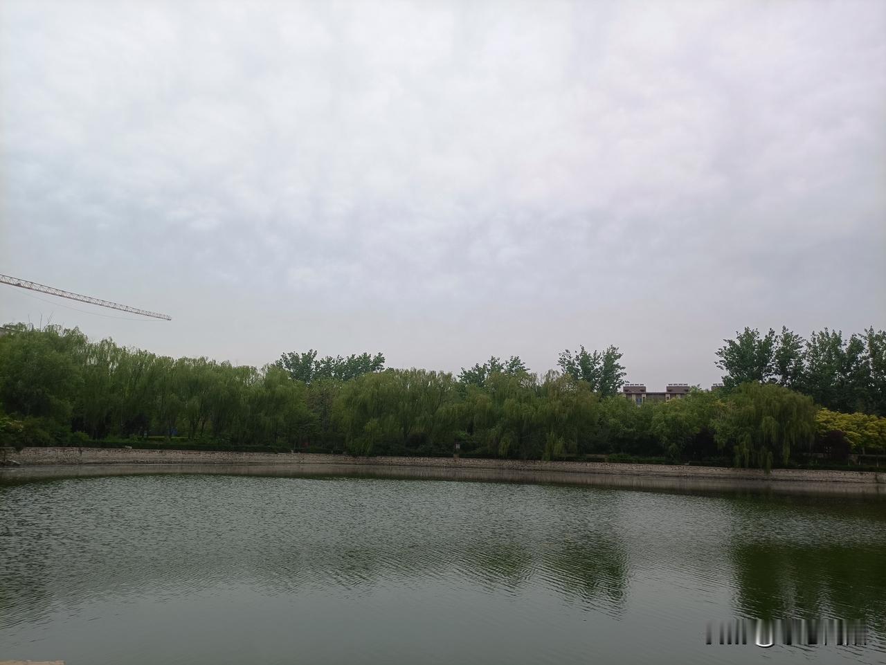闺蜜都五十多了，平时很老实的一个人，没想到这个年龄了，还是会变相的巴结领导吧，这