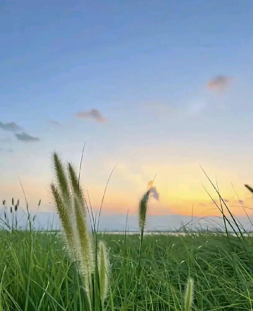 孤独才是人生的常态，热闹是短暂的，独处才是永恒的修行。不必害怕一个人吃饭，一个人